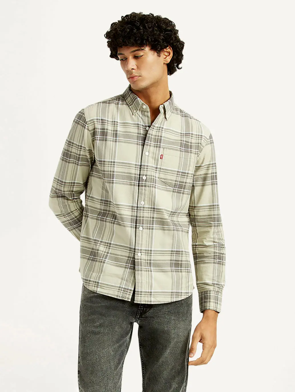 Men's Plaid Slim Fit Oxford Shirt 1