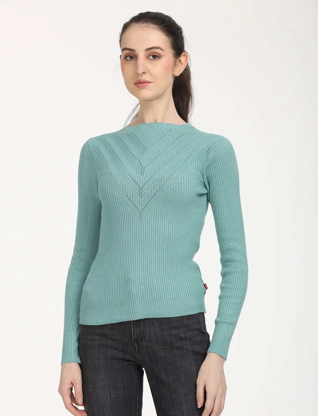 Women's Self Design Turquoise Round Neck Sweater 1