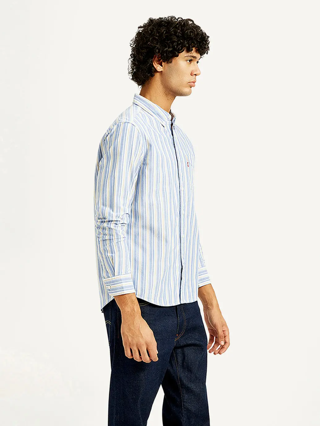 Men's Striped Slim Fit Oxford Shirt 6