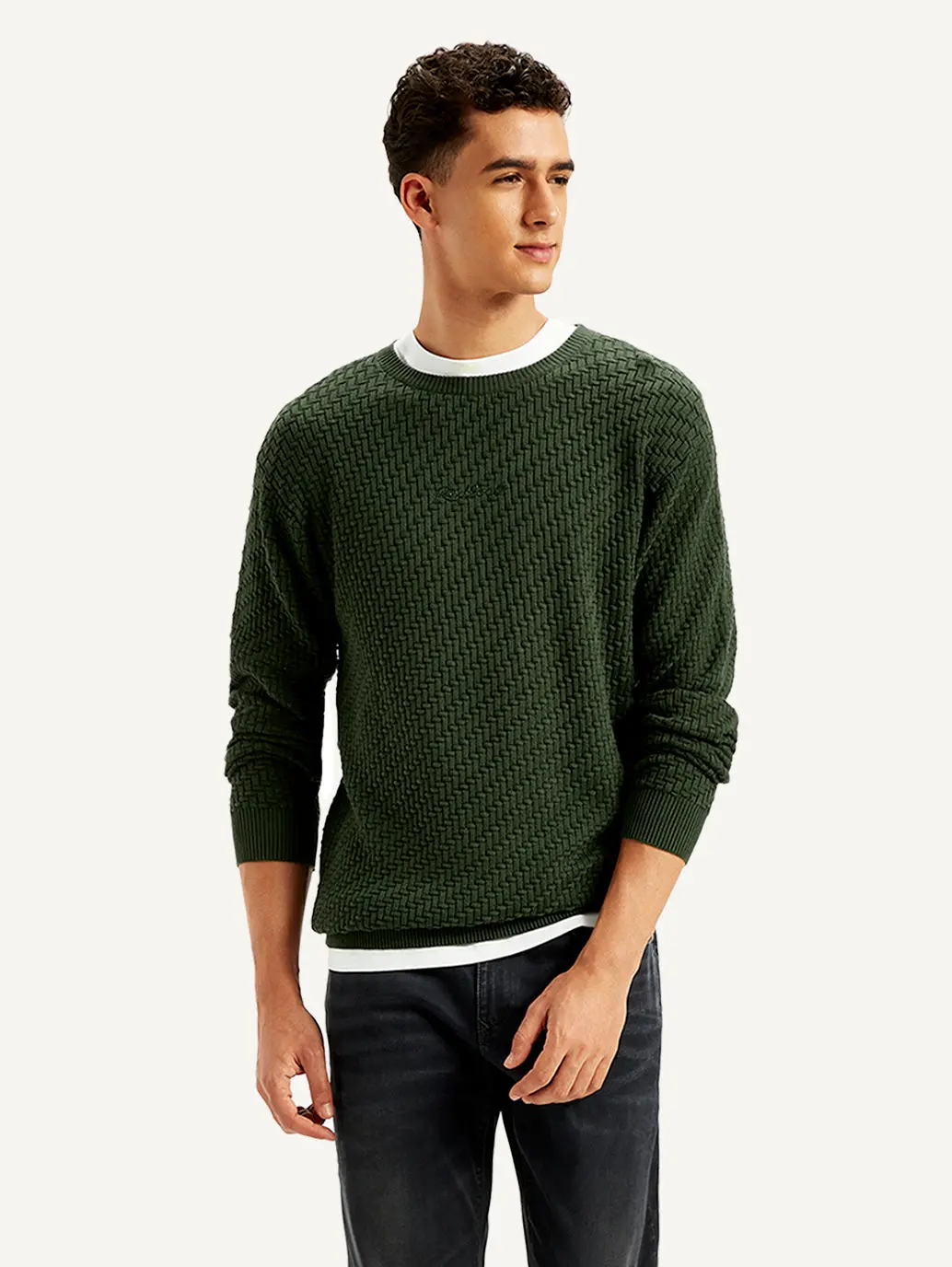 Men's Redloop Textured Olive Crew Neck Sweater 1