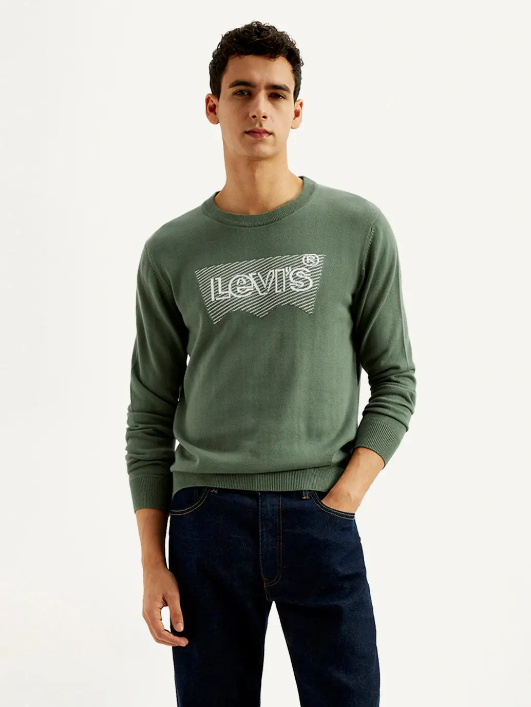 Men's Brand Logo Sage Crew Neck Sweater 1