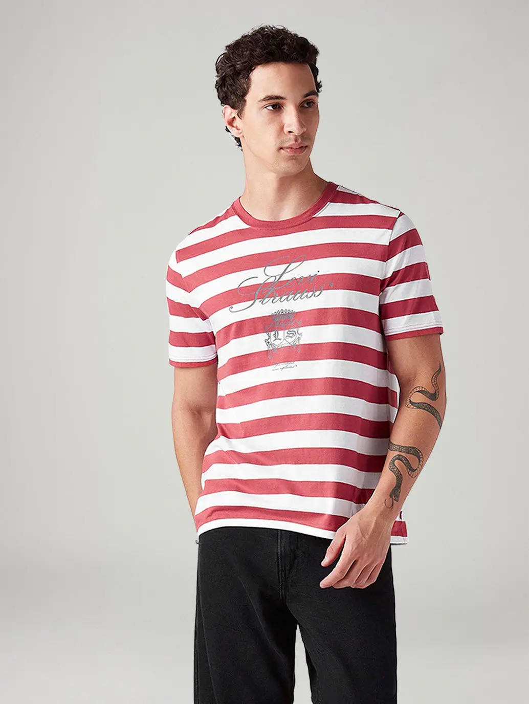 Men's Striped Regular Fit T-Shirt 1