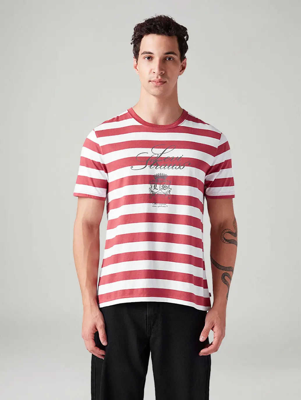 Men's Striped Regular Fit T-Shirt 2