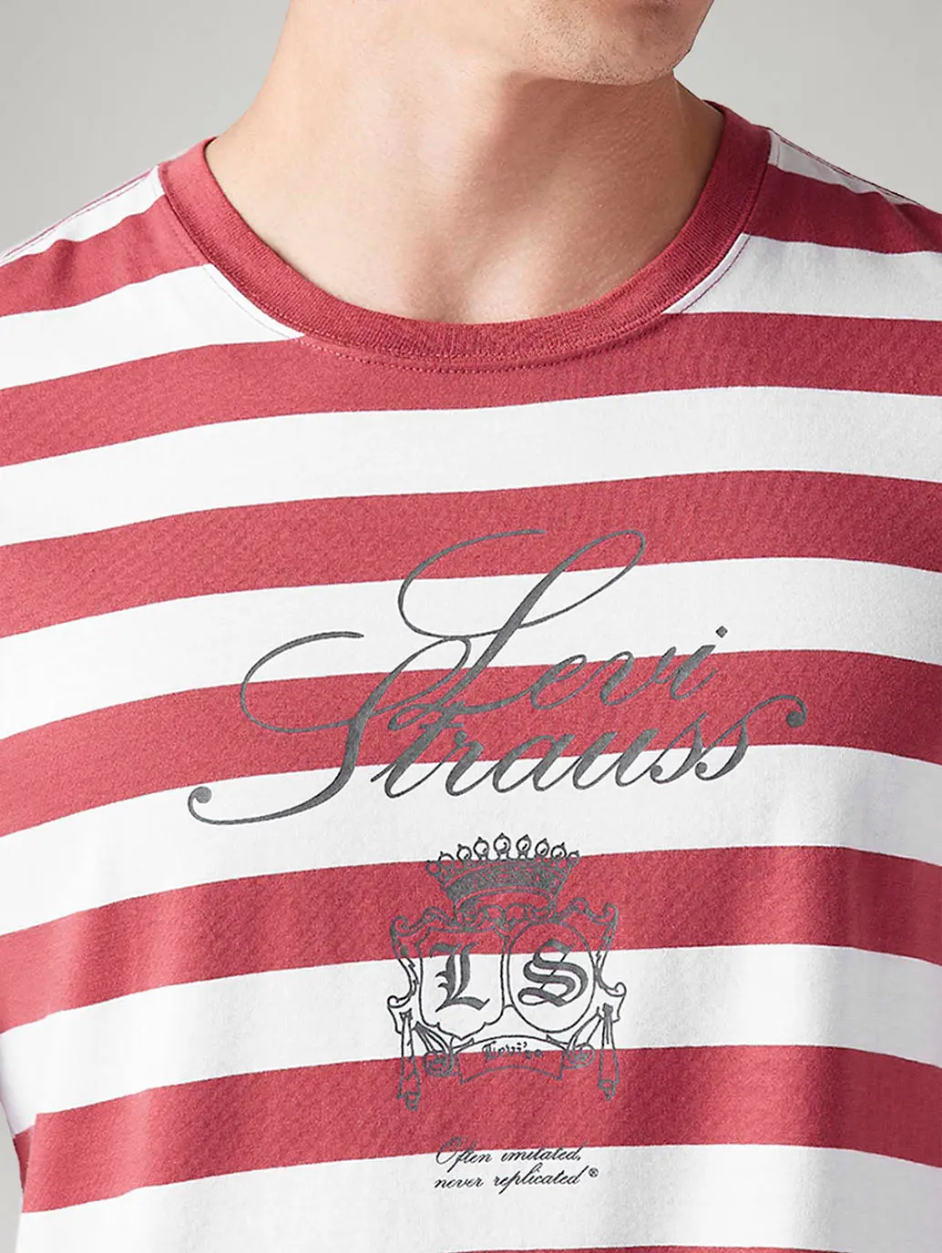 Men's Striped Regular Fit T-Shirt 4