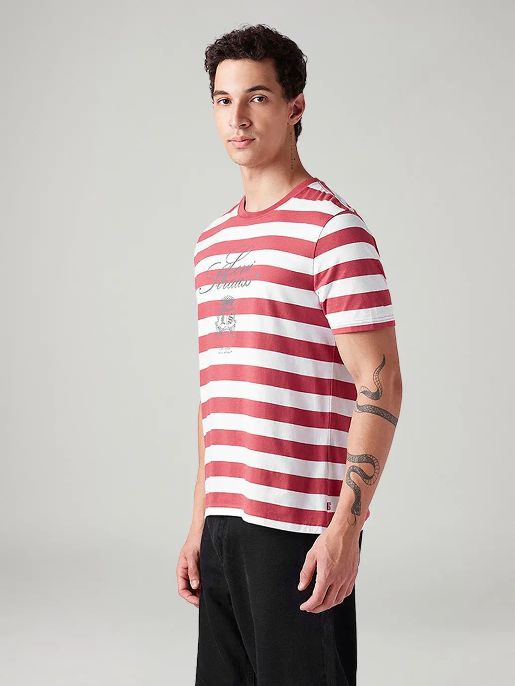 Men's Striped Regular Fit T-Shirt 5