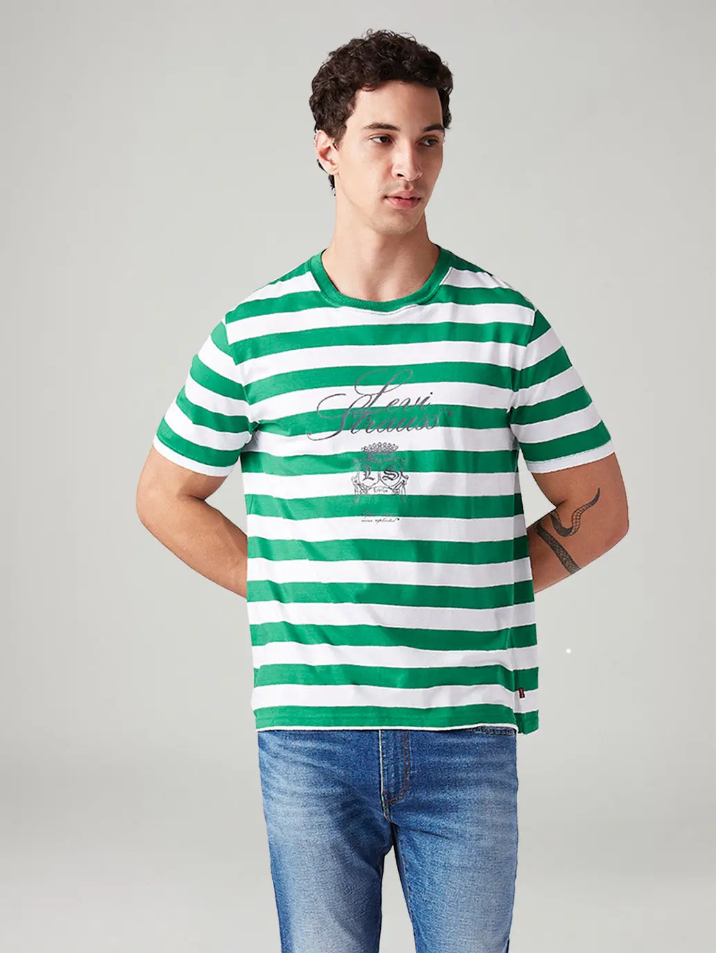 Men's Striped Regular Fit T-Shirt 1