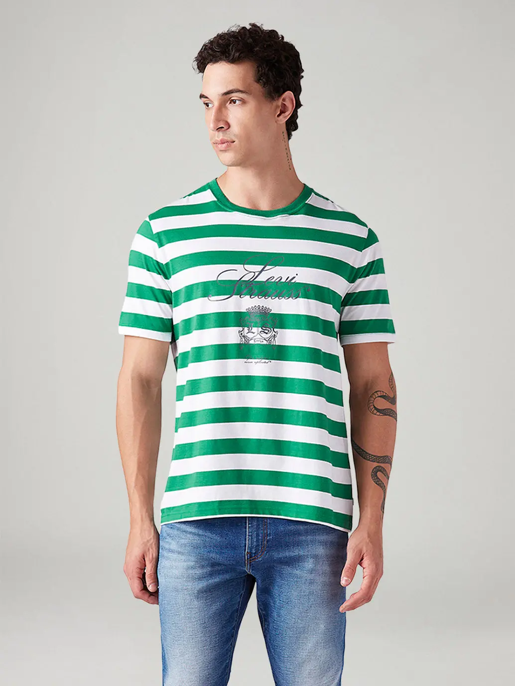 Men's Striped Regular Fit T-Shirt 2