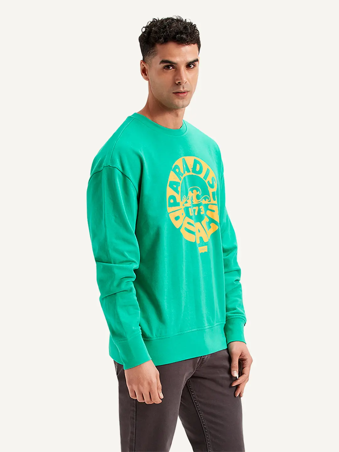 Men's Graphic Print Regular Fit Sweatshirt 3