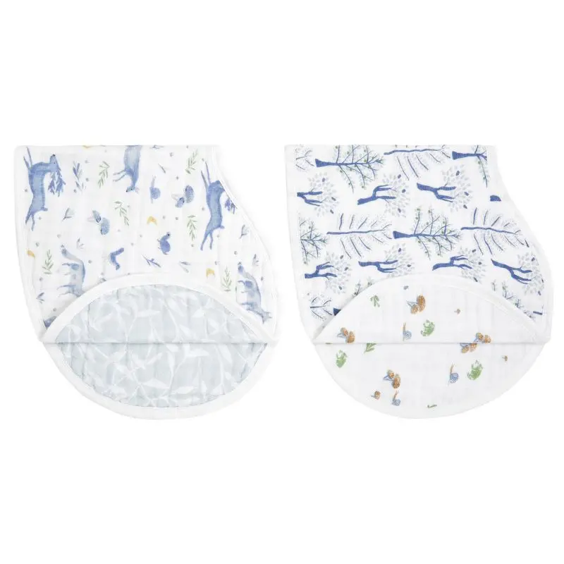 Organic Cotton Burpy Bibs - 2 Pack 2
