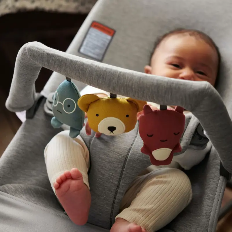 Bouncer Bundle With Soft Friends Toy 2