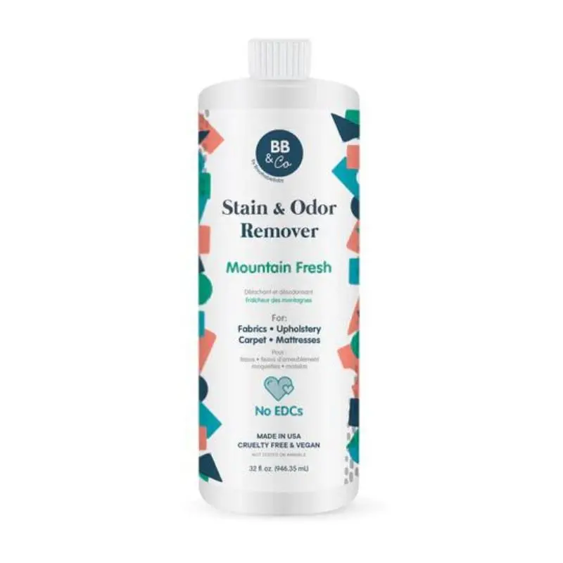 Stain & Odor Remover - Mountain Fresh 1