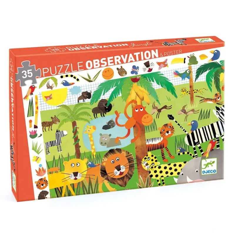 Observation Puzzle 1