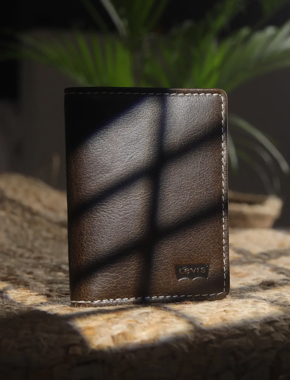 Men's Brown Solid Card Holder 1