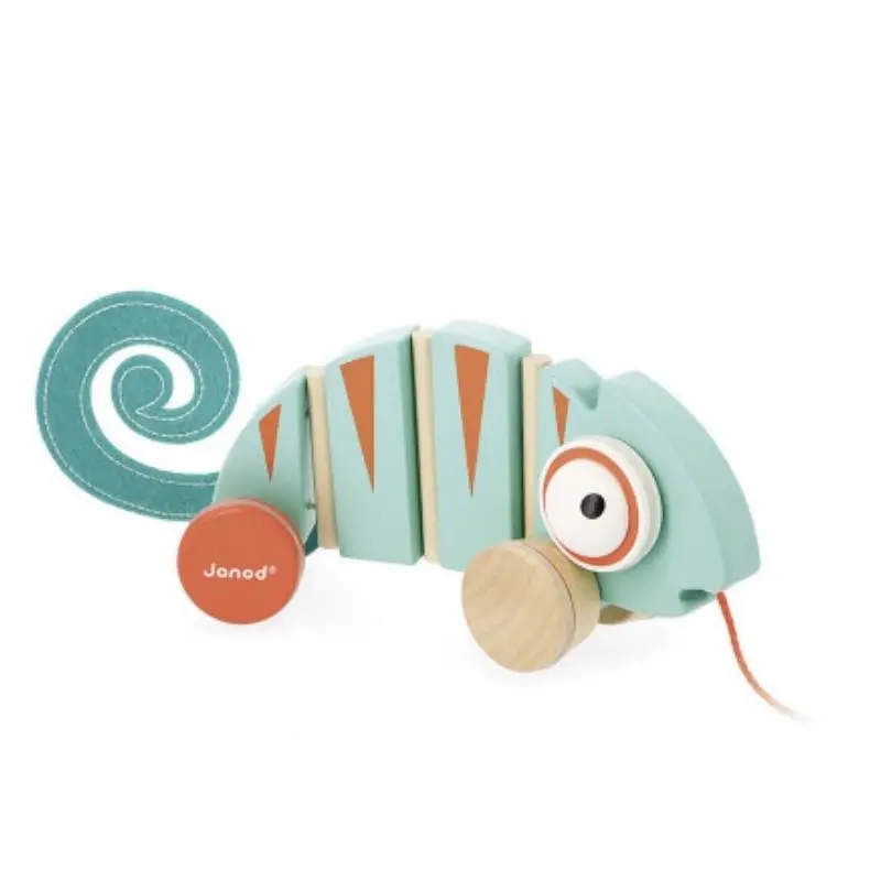 Pull-Along Chameleon 1