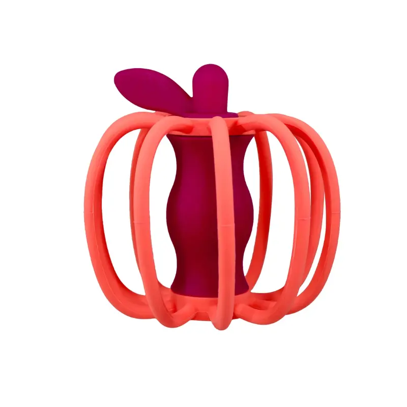 Teether & Rattle Toy 2