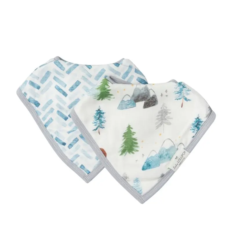 Muslin Bandana Bib Set - 2 Pack 6