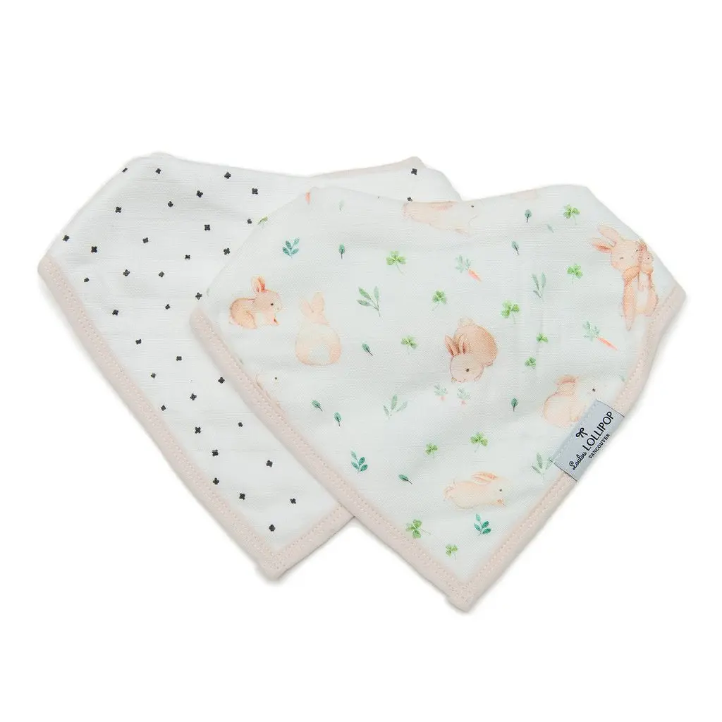 Muslin Bandana Bib Set - 2 Pack 6