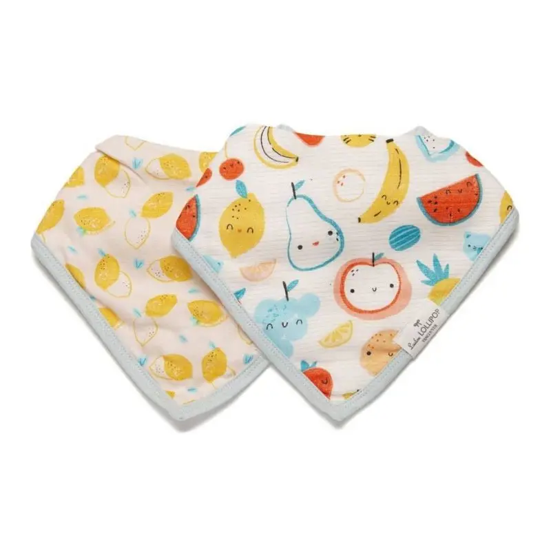 Muslin Bandana Bib Set - 2 Pack 5
