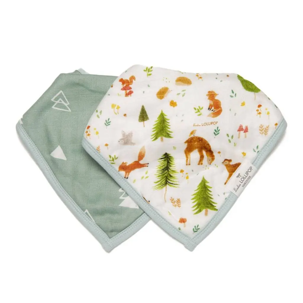 Muslin Bandana Bib Set - 2 Pack 10