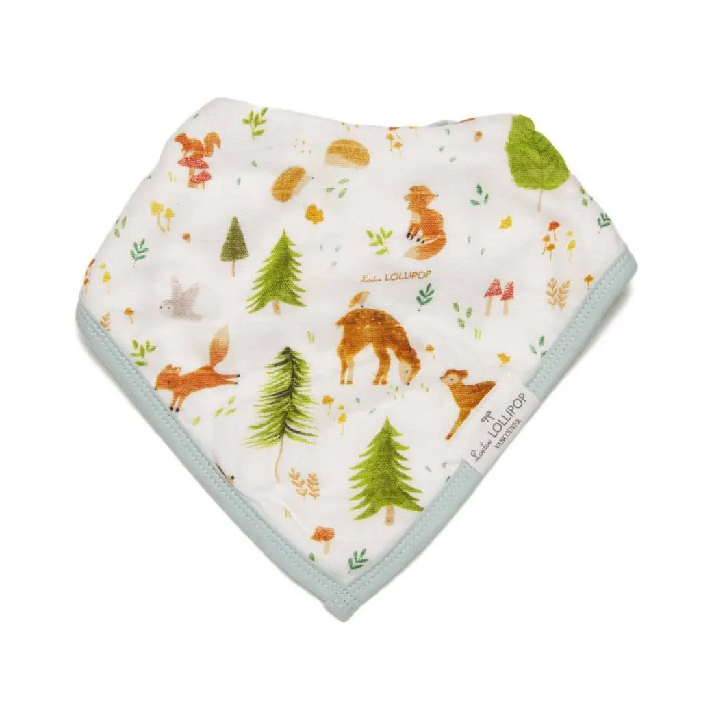 Muslin Bandana Bib Set - 2 Pack 12