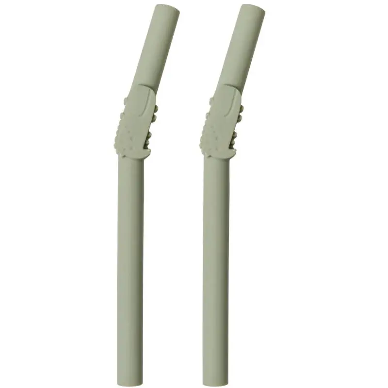 Born To Be Wild - 2 Pack Kids Silicone Straws 1
