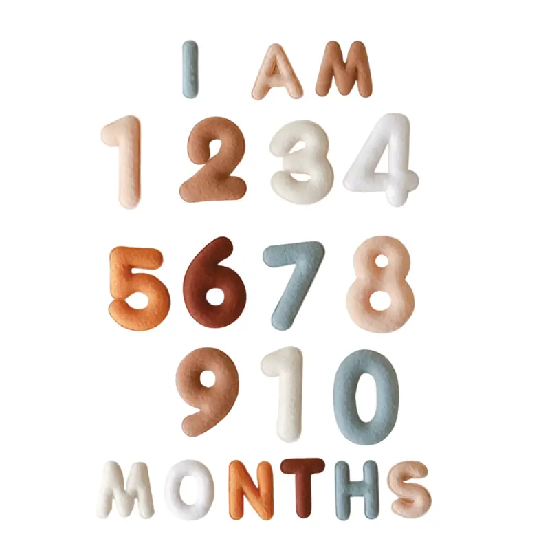 Monthly Milestone Baby Felt Letters - Neutral 1