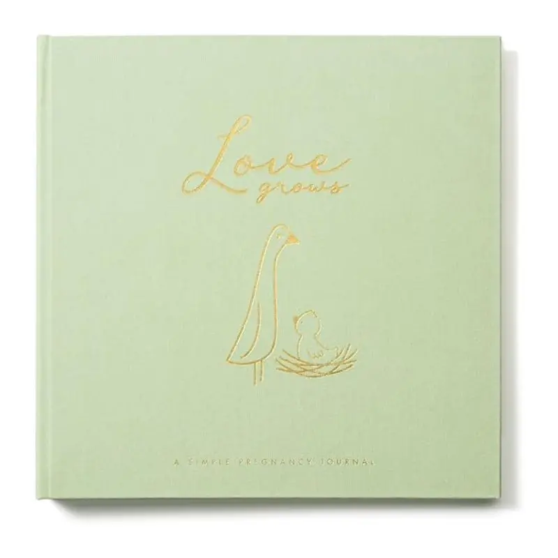 Pregnancy Memory Book 2