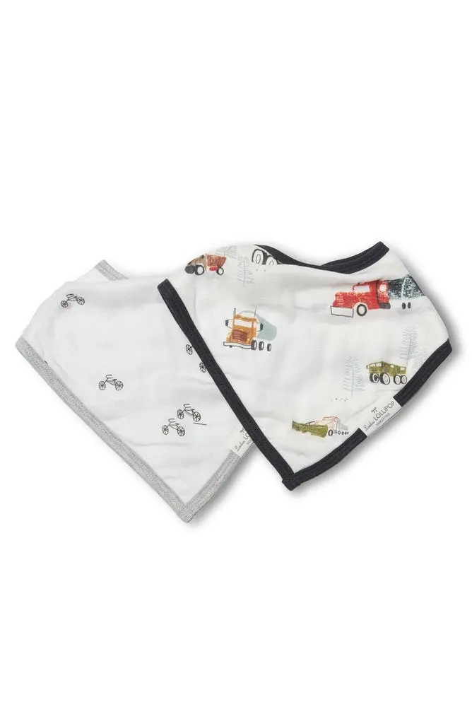 Muslin Bandana Bib Set - 2 Pack 13