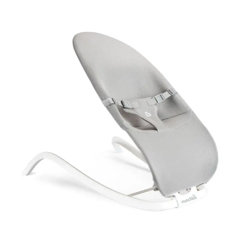 Spring 2-In-1 Bouncer & Rocker 1