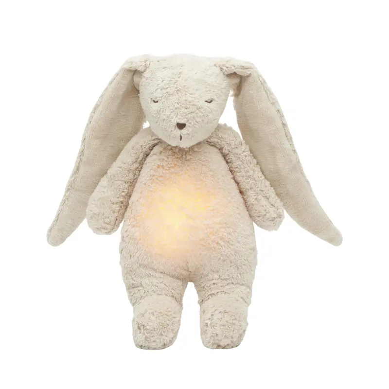 2.0 The Organic Humming Lamp 1