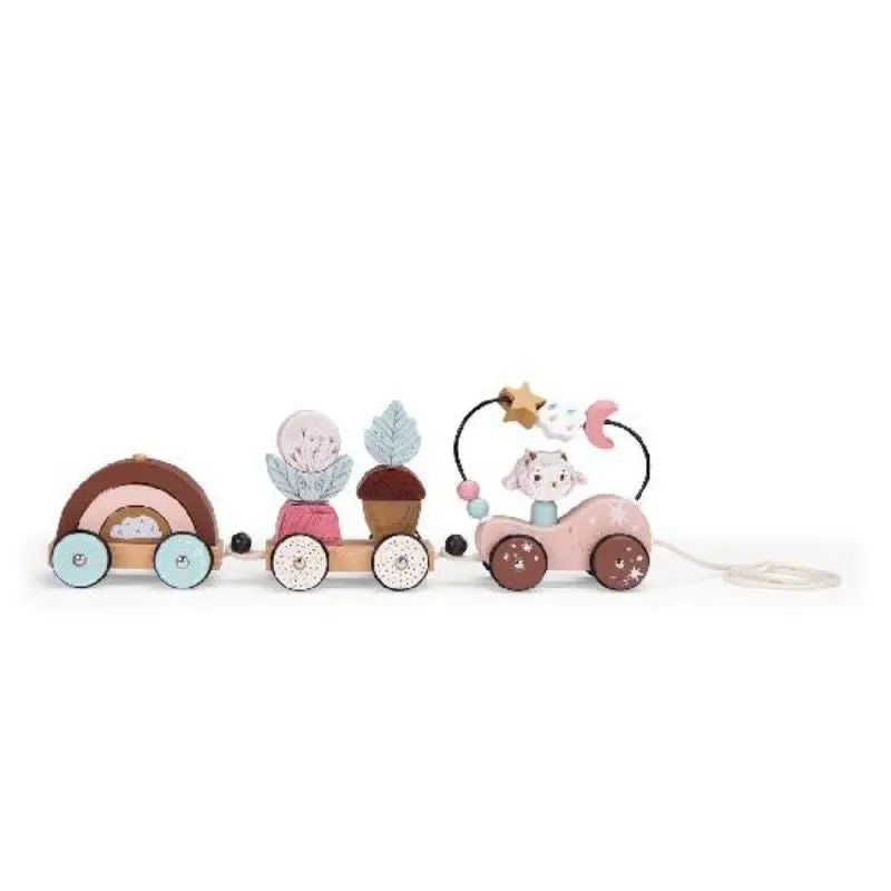 Apres La Pluie - Pull Along Activity Train 1