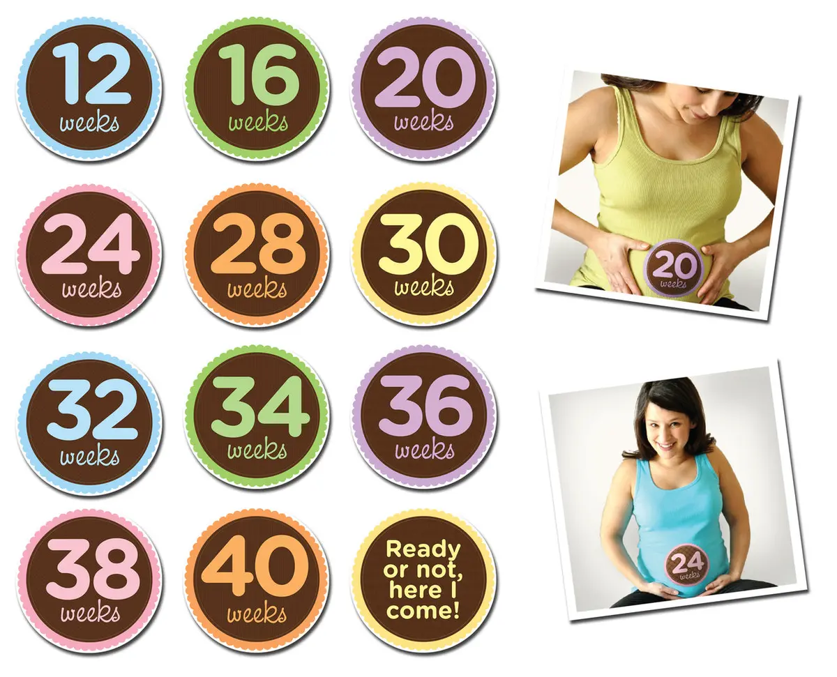 Sticky Bellies - Oh Sew Ready 1