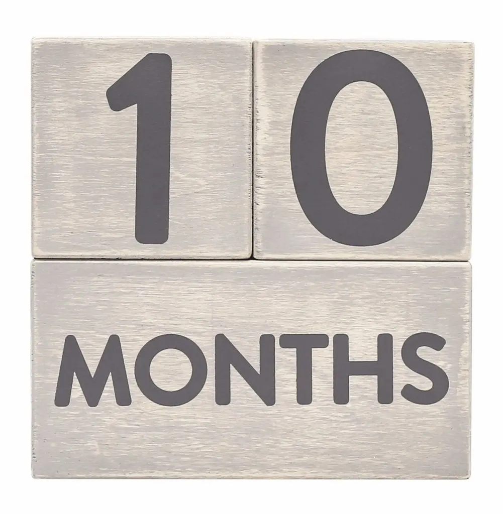 Milestone Blocks 1