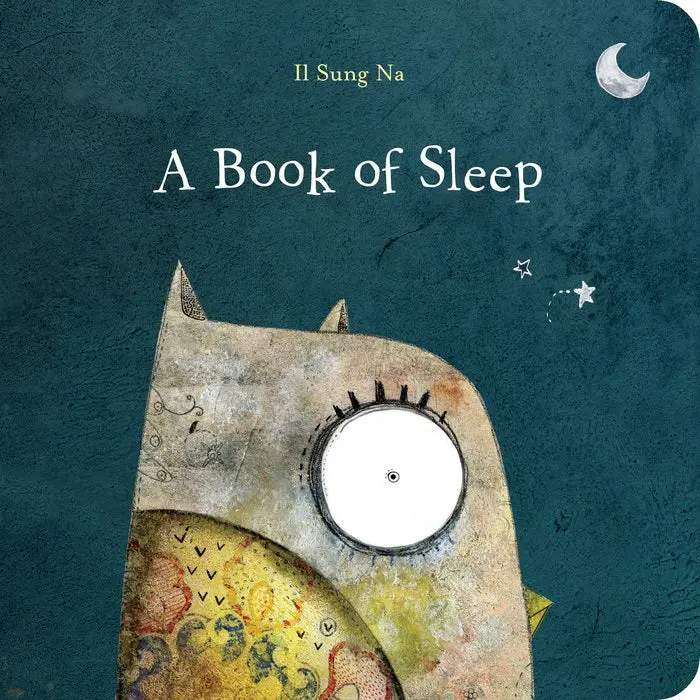 A Book Of Sleep 1