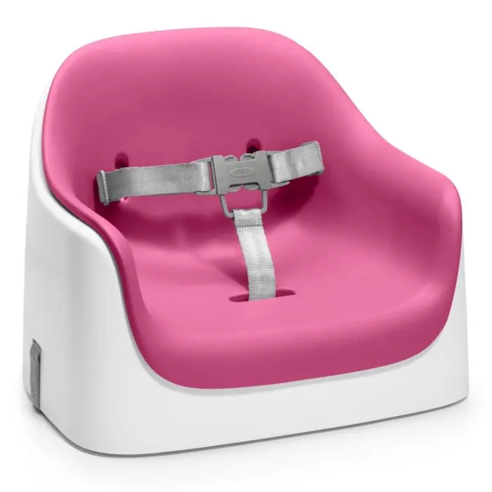Nest Booster Seat With Removable Cushion 2