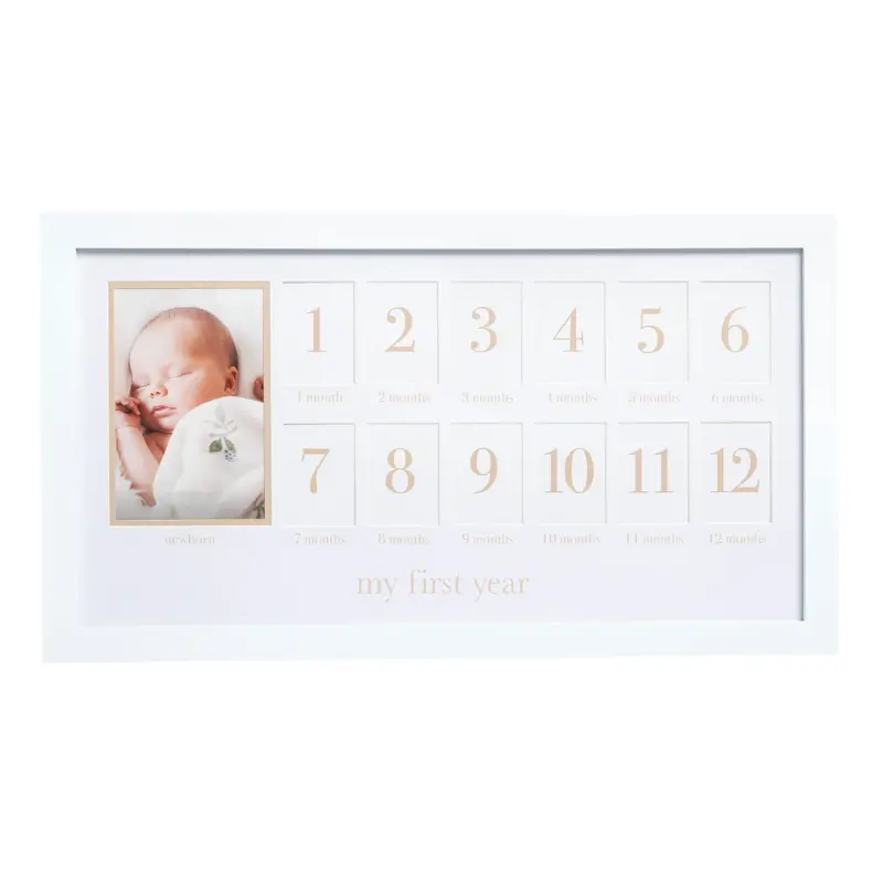 First Year Frame 1