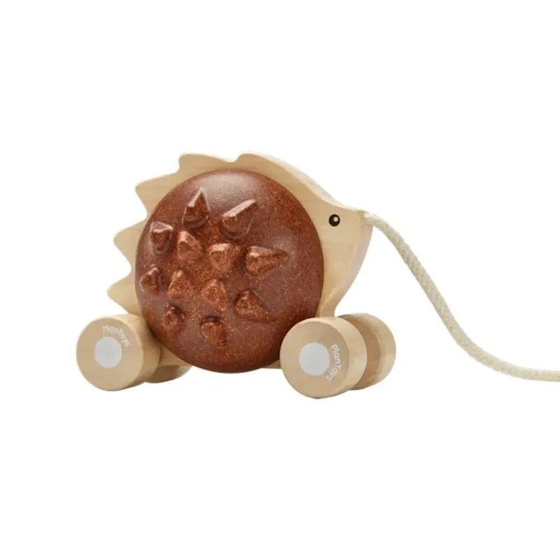 Pull-Along Hedgehog 1