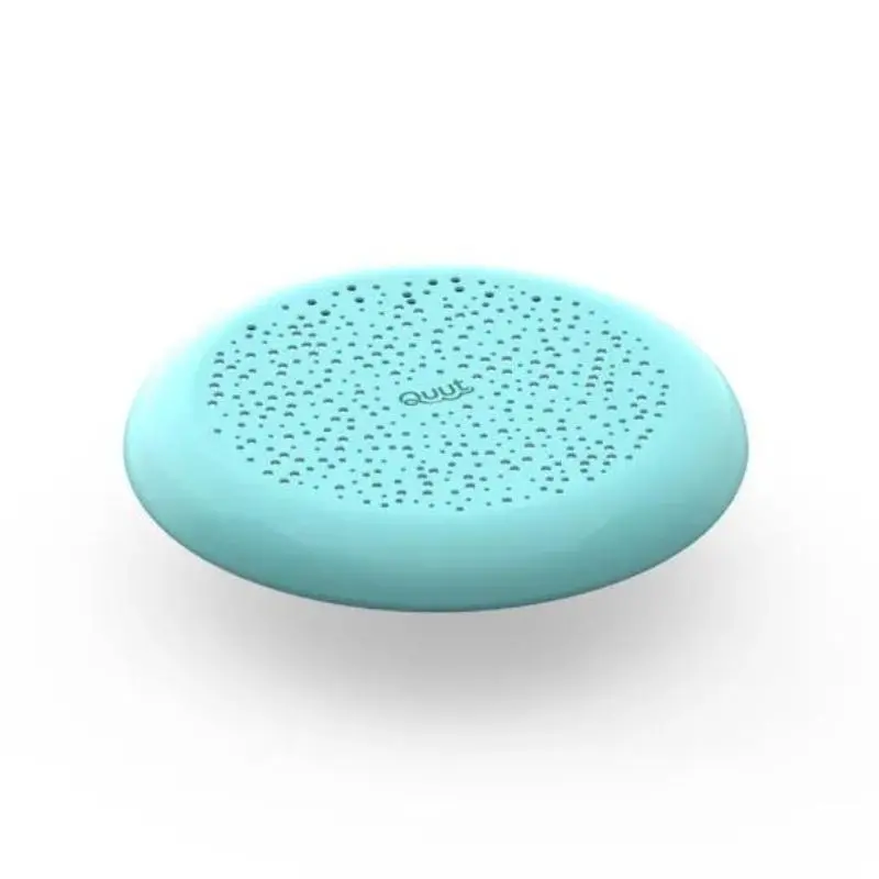 Flying Disc And Sand Sifter 1