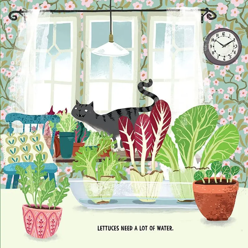 Terra Babies At Home Book Series 2