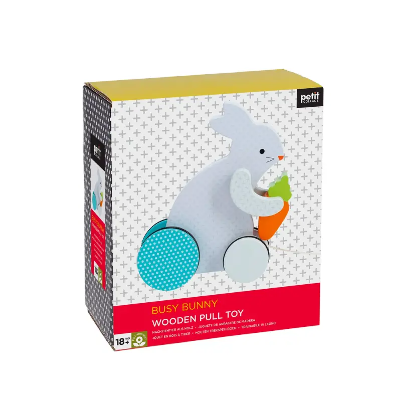Busy Bunny Pull Toy 2