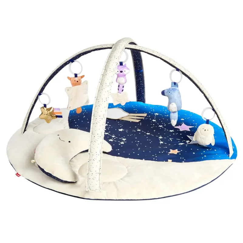 Celestial Dreams Activity Gym 1