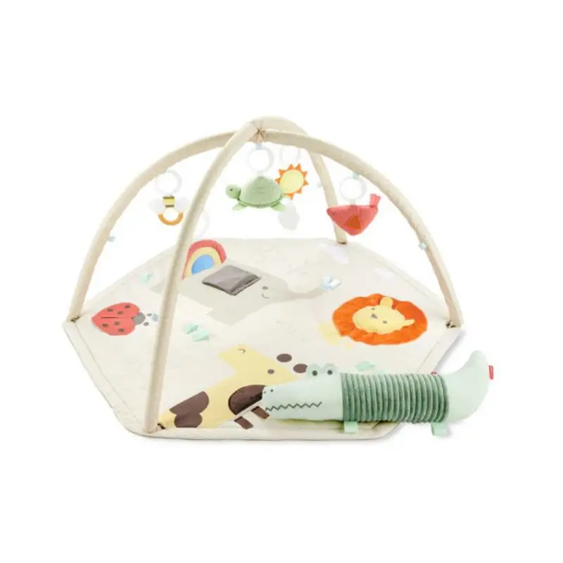 Geometric Wonders Activity Gym 1
