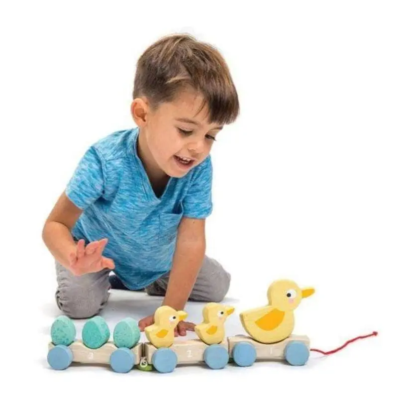 Pull Along Duck 1