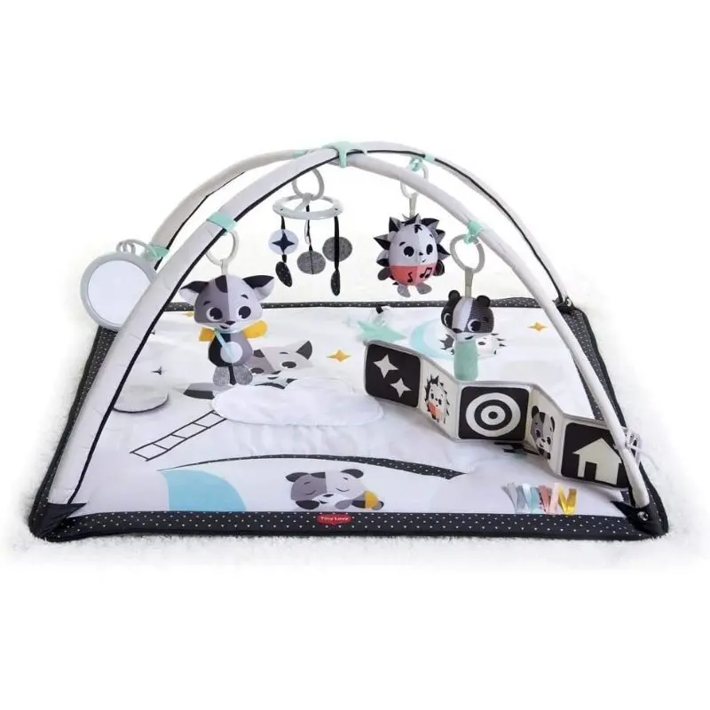 Deluxe Gymini Activity Mat 1