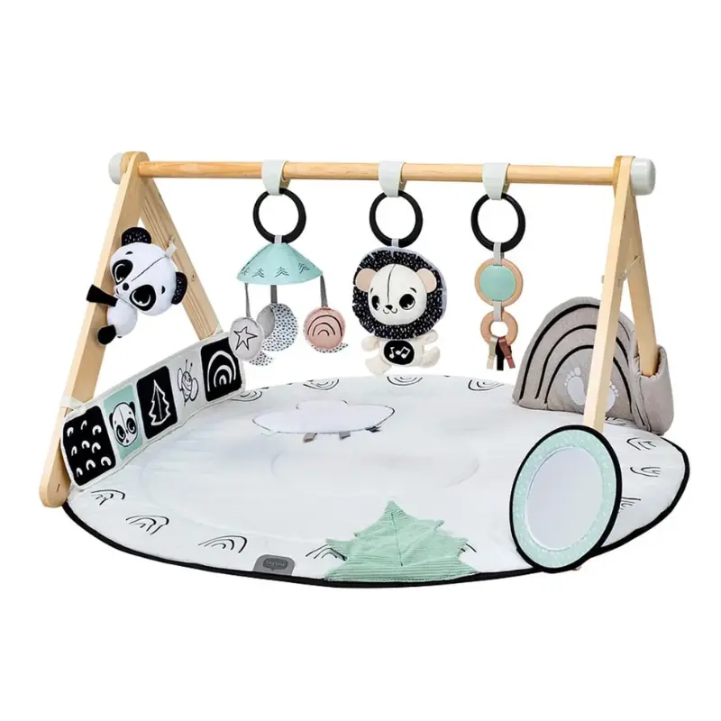 Black & White Décor Luxe Developmental Gymini 1