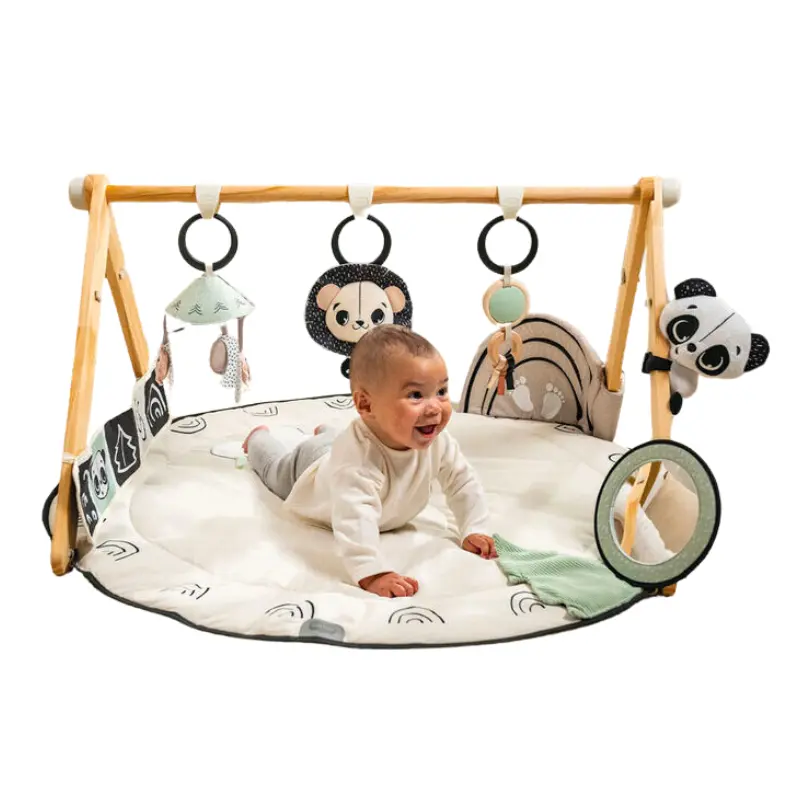 Black & White Décor Luxe Developmental Gymini 2