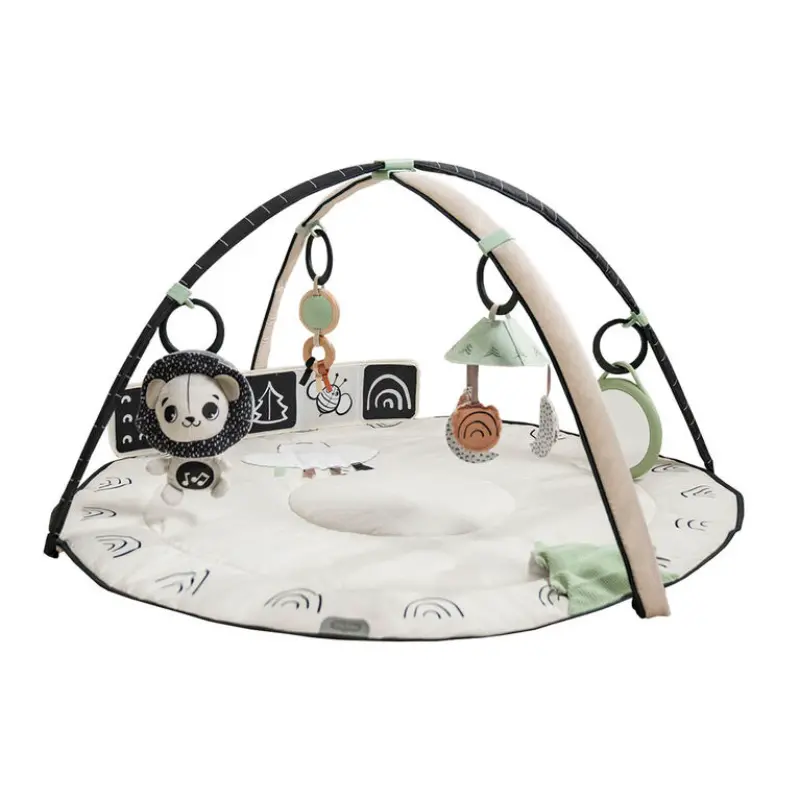 Black & White Décor Classic Developmental Gymini 1