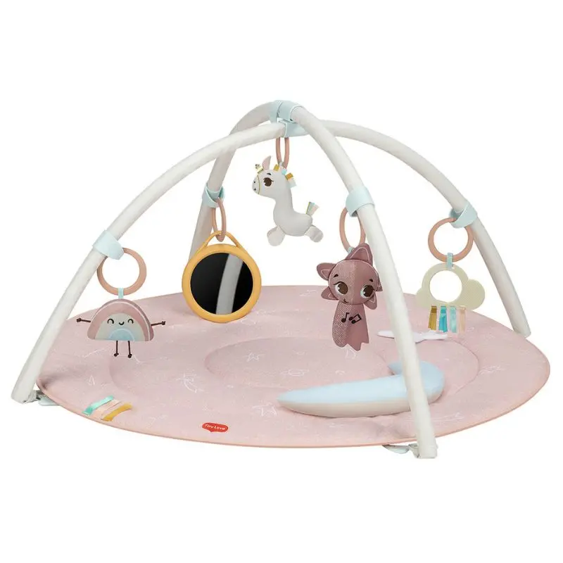 Unicorn Wonderlands Developmental Gymini 1