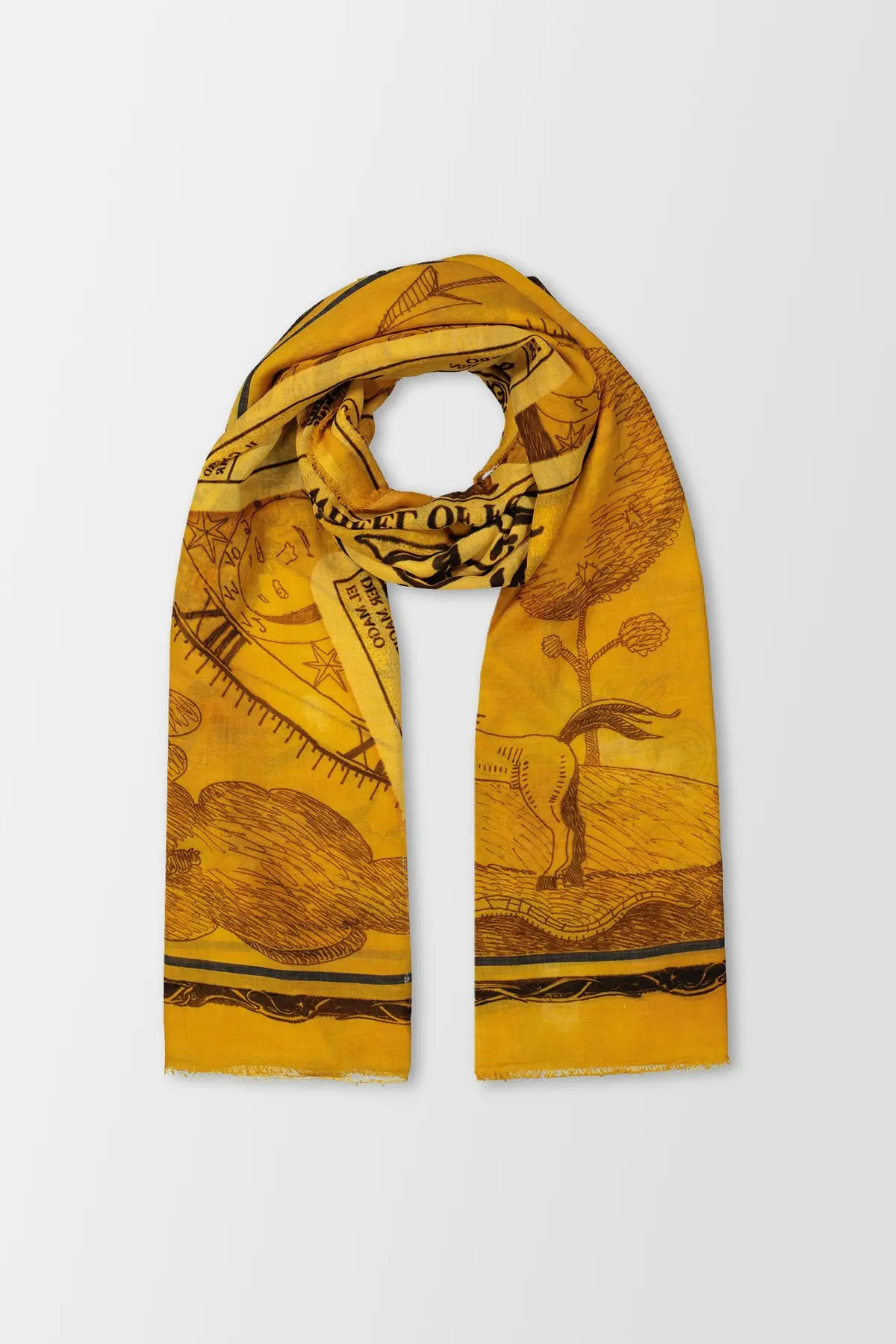Faliero Sarti Yellow Fortuna 1