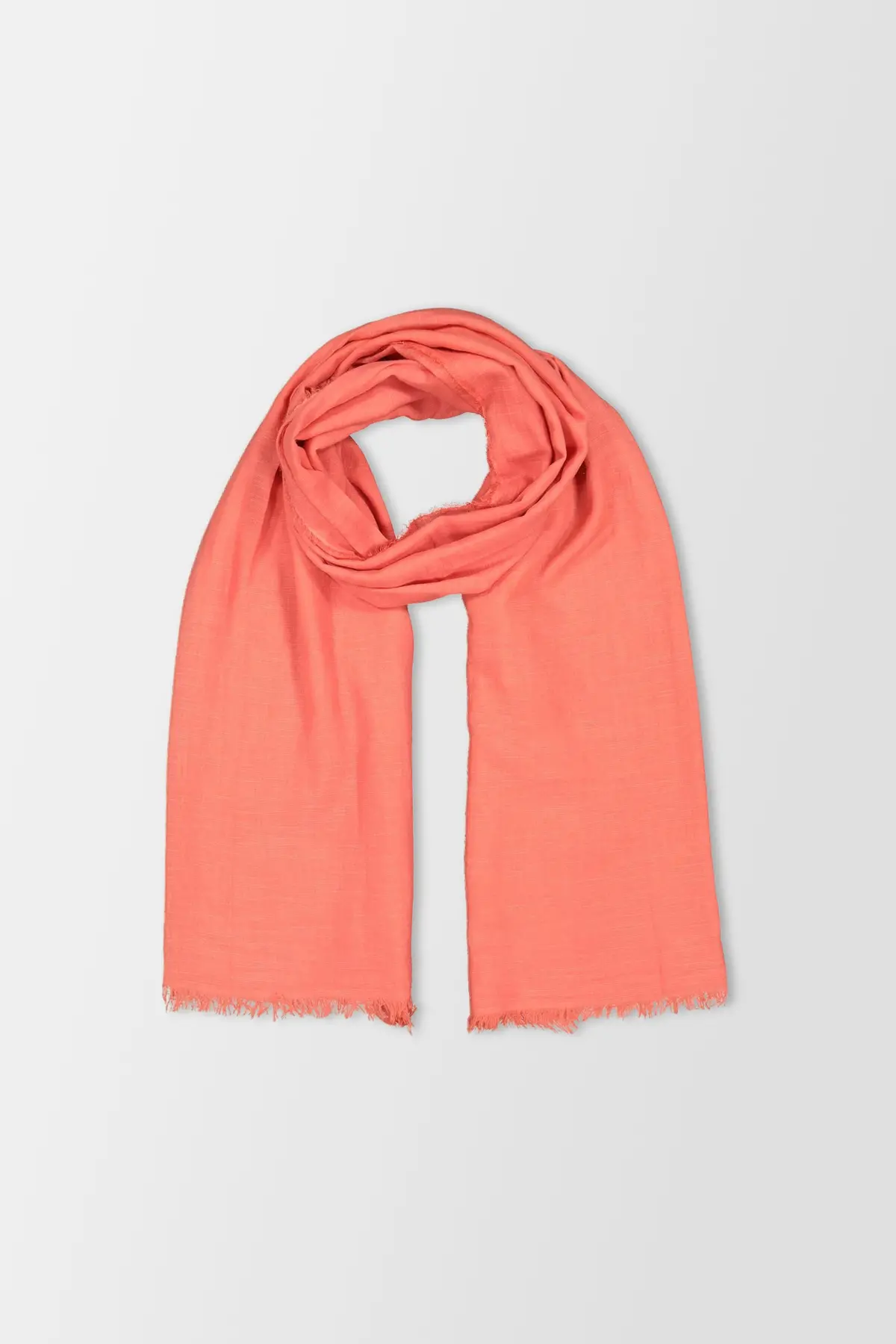 Faliero Sarti Coral Brie 1
